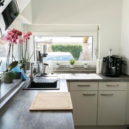 Villa Preisendanz 링스헤임 외부 사진